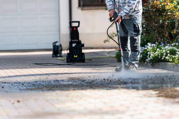 Best Roof Pressure Washing  in Ampere North, NJ
