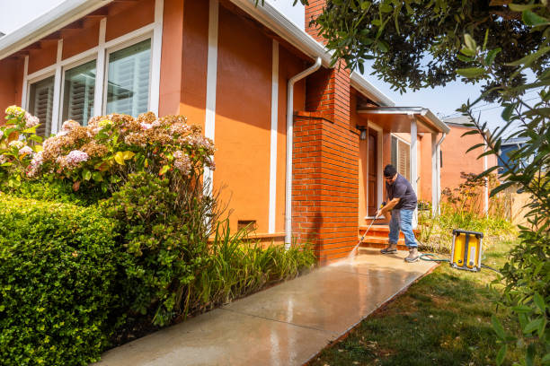 Best Affordable Pressure Washing  in Ampere North, NJ